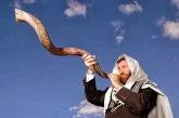 Shofar kusheir chifre de Israel 100 cm